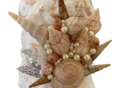 Coquillage créatif